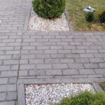 Как выглядит взрослая Туя западная Хозери