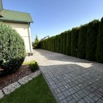 Как выглядит живая изгородь из Туи Смарагд